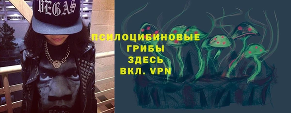 ПСИЛОЦИБИНОВЫЕ ГРИБЫ Михайловка
