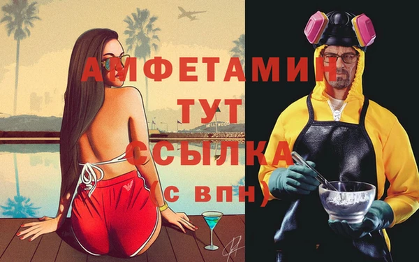 ПСИЛОЦИБИНОВЫЕ ГРИБЫ Михайловка