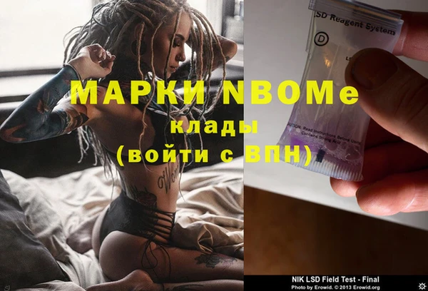 ПСИЛОЦИБИНОВЫЕ ГРИБЫ Михайловка