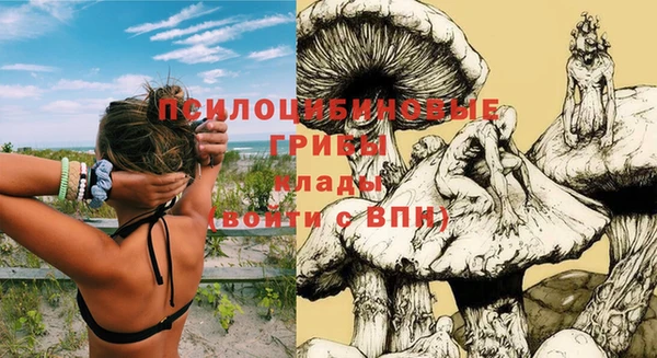 ПСИЛОЦИБИНОВЫЕ ГРИБЫ Михайловка